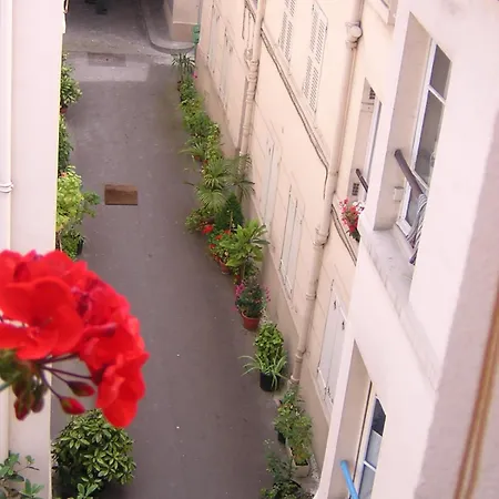 Calme Et Repos, Vue Sur Les Arbres Paris